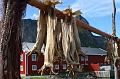 Norwegia (993b)